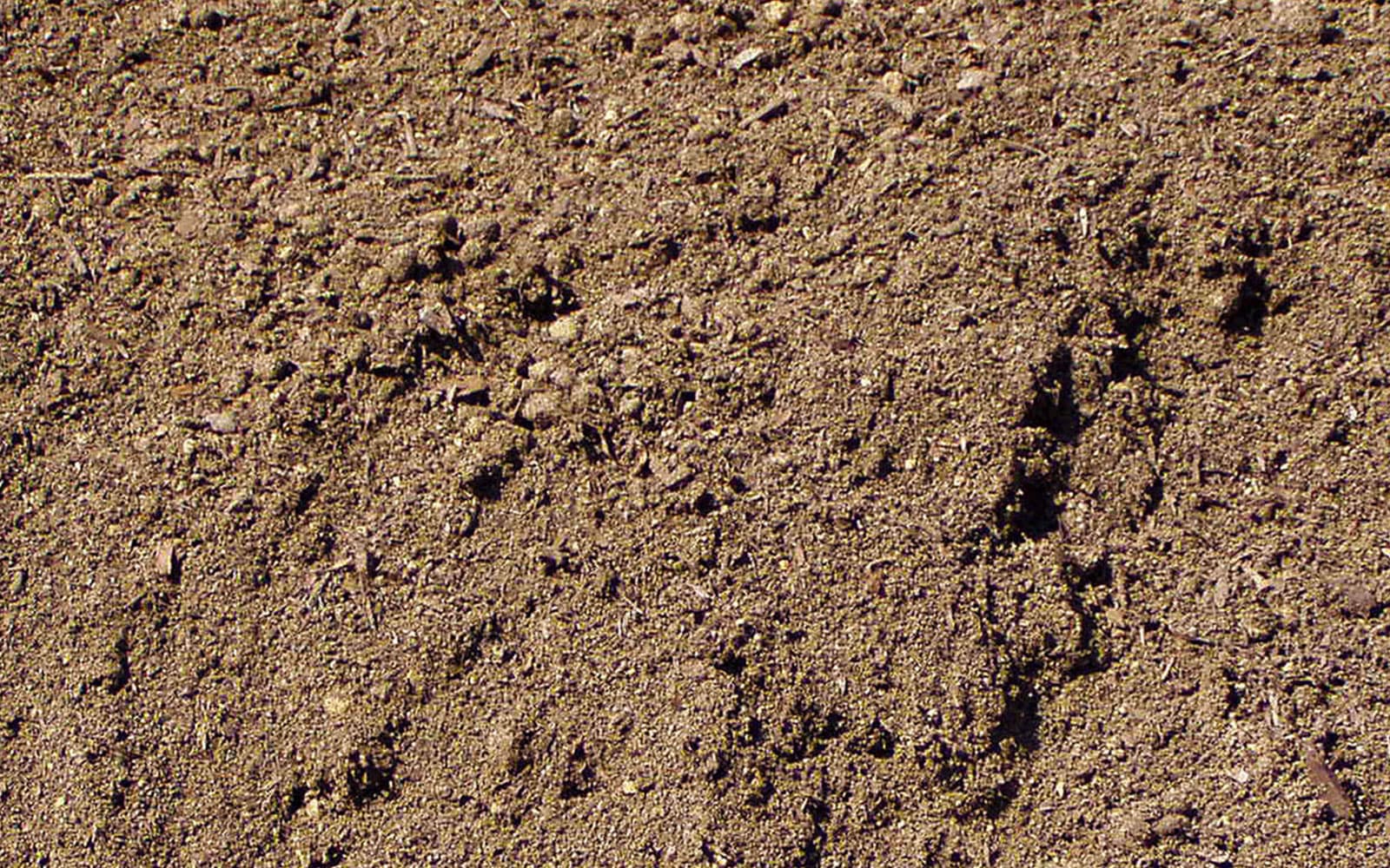 image of top soil